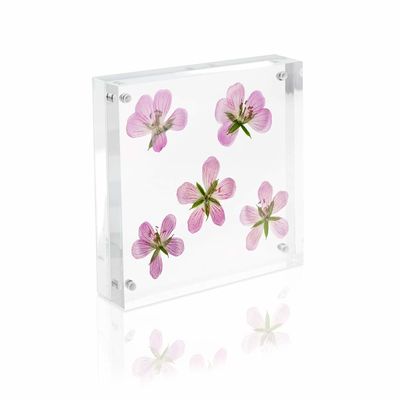 PMMA Acrylic Photo Display Frameless Acrylic Magnetic Picture Frames For Refrigerator